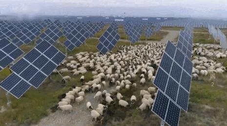 【電廠】2018年水電再次霸屏央視 水光互補(bǔ)項(xiàng)目閃亮登場(chǎng)！【電廠】2018年水電再次霸屏央視 水光互補(bǔ)項(xiàng)目閃亮登場(chǎng)！ 行業(yè)資訊 第6張