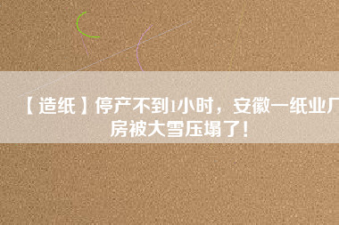 【造紙】停產不到1小時，安徽一紙業(yè)廠房被大雪壓塌了！
