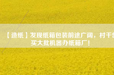 【造紙】發(fā)現紙箱包裝前途廣闊，村干部買大批機器辦紙箱廠！