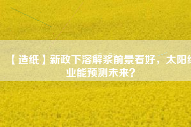 【造紙】新政下溶解漿前景看好，太陽紙業(yè)能預(yù)測未來？