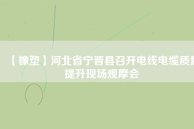 【橡塑】河北省寧晉縣召開電線電纜質量提升現(xiàn)場觀摩會