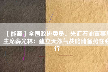 【能源】全國(guó)政協(xié)委員、光匯石油董事局主席薛光林：建立天然氣戰(zhàn)略儲(chǔ)備勢(shì)在必行