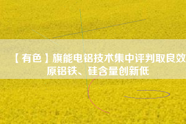 【有色】旗能電鋁技術(shù)集中評判取良效 原鋁鐵、硅含量創(chuàng)新低