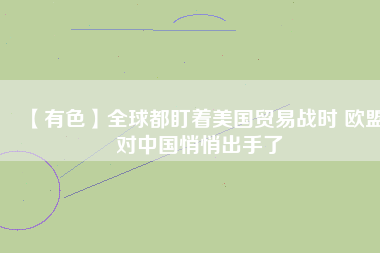【有色】全球都盯著美國貿(mào)易戰(zhàn)時(shí) 歐盟對中國悄悄出手了