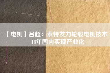 【電機(jī)】呂超:泰特發(fā)力輪轂電機(jī)技術(shù) 2018年國(guó)內(nèi)實(shí)現(xiàn)產(chǎn)業(yè)化 - TECO東元電機(jī) | 變頻器·伺服電機(jī)·減速機(jī)·電機(jī)解決方案