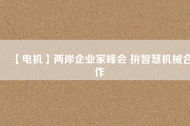 【電機(jī)】兩岸企業(yè)家峰會 拚智慧機(jī)械合作 - TECO東元電機(jī) | 變頻器·伺服電機(jī)·減速機(jī)·電機(jī)解決方案