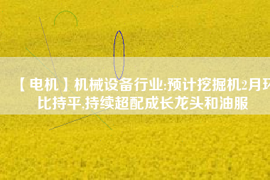 【電機(jī)】機(jī)械設(shè)備行業(yè):預(yù)計(jì)挖掘機(jī)2月環(huán)比持平,持續(xù)超配成長龍頭和油服 - TECO東元電機(jī) | 變頻器·伺服電機(jī)·減速機(jī)·電機(jī)解決方案