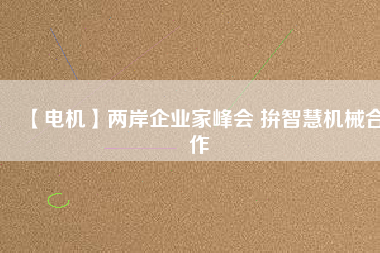 【電機(jī)】兩岸企業(yè)家峰會 拚智慧機(jī)械合作 - TECO東元電機(jī) | 變頻器·伺服電機(jī)·減速機(jī)·電機(jī)解決方案