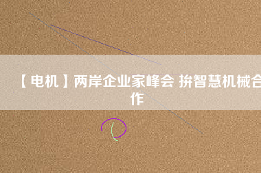 【電機(jī)】兩岸企業(yè)家峰會 拚智慧機(jī)械合作 - TECO東元電機(jī) | 變頻器·伺服電機(jī)·減速機(jī)·電機(jī)解決方案
