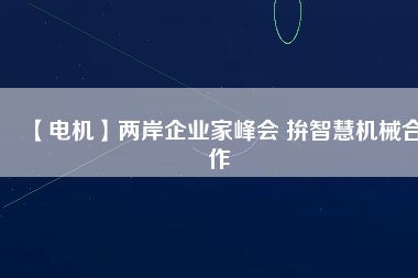 【電機(jī)】兩岸企業(yè)家峰會 拚智慧機(jī)械合作 - TECO東元電機(jī) | 變頻器·伺服電機(jī)·減速機(jī)·電機(jī)解決方案