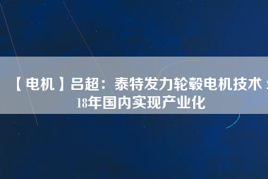 【電機(jī)】呂超:泰特發(fā)力輪轂電機(jī)技術(shù) 2018年國(guó)內(nèi)實(shí)現(xiàn)產(chǎn)業(yè)化 - TECO東元電機(jī) | 變頻器·伺服電機(jī)·減速機(jī)·電機(jī)解決方案