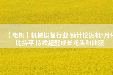 【電機(jī)】機(jī)械設(shè)備行業(yè):預(yù)計(jì)挖掘機(jī)2月環(huán)比持平,持續(xù)超配成長龍頭和油服 - TECO東元電機(jī) | 變頻器·伺服電機(jī)·減速機(jī)·電機(jī)解決方案