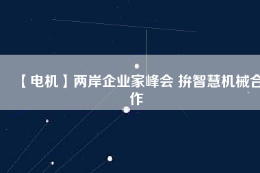 【電機(jī)】兩岸企業(yè)家峰會 拚智慧機(jī)械合作 - TECO東元電機(jī) | 變頻器·伺服電機(jī)·減速機(jī)·電機(jī)解決方案