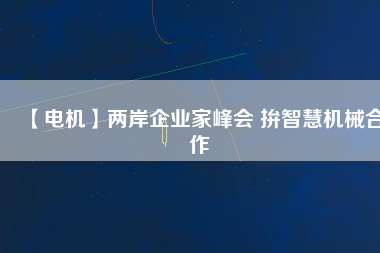 【電機(jī)】兩岸企業(yè)家峰會 拚智慧機(jī)械合作 - TECO東元電機(jī) | 變頻器·伺服電機(jī)·減速機(jī)·電機(jī)解決方案