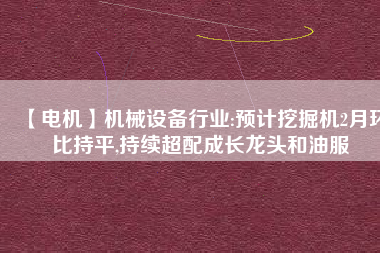 【電機(jī)】機(jī)械設(shè)備行業(yè):預(yù)計(jì)挖掘機(jī)2月環(huán)比持平,持續(xù)超配成長龍頭和油服 - TECO東元電機(jī) | 變頻器·伺服電機(jī)·減速機(jī)·電機(jī)解決方案