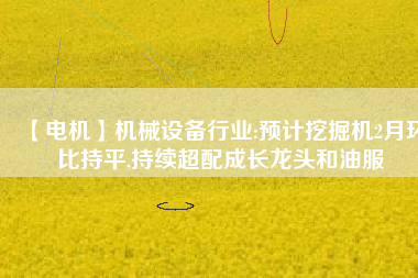 【電機(jī)】機(jī)械設(shè)備行業(yè):預(yù)計(jì)挖掘機(jī)2月環(huán)比持平,持續(xù)超配成長龍頭和油服 - TECO東元電機(jī) | 變頻器·伺服電機(jī)·減速機(jī)·電機(jī)解決方案