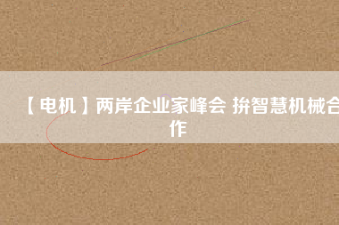 【電機(jī)】兩岸企業(yè)家峰會 拚智慧機(jī)械合作 - TECO東元電機(jī) | 變頻器·伺服電機(jī)·減速機(jī)·電機(jī)解決方案
