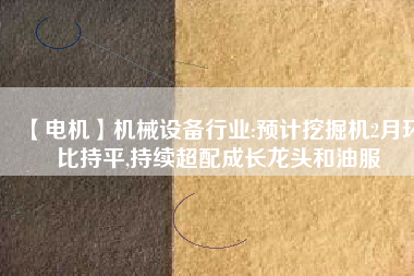 【電機(jī)】機(jī)械設(shè)備行業(yè):預(yù)計(jì)挖掘機(jī)2月環(huán)比持平,持續(xù)超配成長龍頭和油服 - TECO東元電機(jī) | 變頻器·伺服電機(jī)·減速機(jī)·電機(jī)解決方案