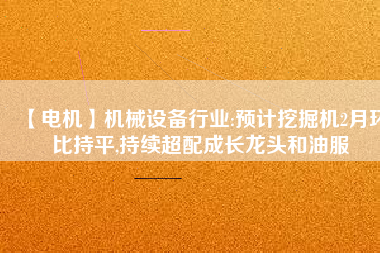 【電機(jī)】機(jī)械設(shè)備行業(yè):預(yù)計(jì)挖掘機(jī)2月環(huán)比持平,持續(xù)超配成長龍頭和油服 - TECO東元電機(jī) | 變頻器·伺服電機(jī)·減速機(jī)·電機(jī)解決方案