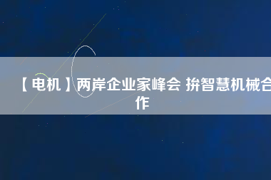 【電機(jī)】兩岸企業(yè)家峰會 拚智慧機(jī)械合作 - TECO東元電機(jī) | 變頻器·伺服電機(jī)·減速機(jī)·電機(jī)解決方案