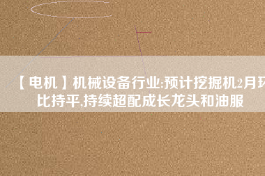 【電機(jī)】機(jī)械設(shè)備行業(yè):預(yù)計(jì)挖掘機(jī)2月環(huán)比持平,持續(xù)超配成長龍頭和油服 - TECO東元電機(jī) | 變頻器·伺服電機(jī)·減速機(jī)·電機(jī)解決方案