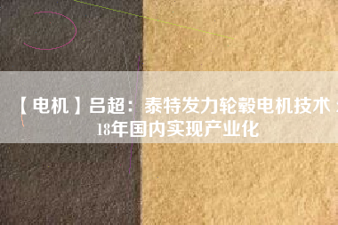 【電機(jī)】呂超:泰特發(fā)力輪轂電機(jī)技術(shù) 2018年國(guó)內(nèi)實(shí)現(xiàn)產(chǎn)業(yè)化 - TECO東元電機(jī) | 變頻器·伺服電機(jī)·減速機(jī)·電機(jī)解決方案