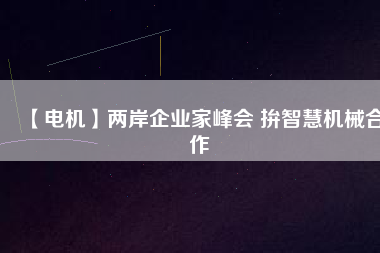 【電機(jī)】兩岸企業(yè)家峰會 拚智慧機(jī)械合作 - TECO東元電機(jī) | 變頻器·伺服電機(jī)·減速機(jī)·電機(jī)解決方案