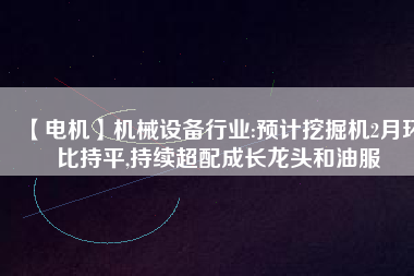 【電機(jī)】機(jī)械設(shè)備行業(yè):預(yù)計(jì)挖掘機(jī)2月環(huán)比持平,持續(xù)超配成長龍頭和油服 - TECO東元電機(jī) | 變頻器·伺服電機(jī)·減速機(jī)·電機(jī)解決方案
