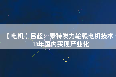 【電機(jī)】呂超:泰特發(fā)力輪轂電機(jī)技術(shù) 2018年國(guó)內(nèi)實(shí)現(xiàn)產(chǎn)業(yè)化 - TECO東元電機(jī) | 變頻器·伺服電機(jī)·減速機(jī)·電機(jī)解決方案