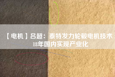 【電機(jī)】呂超:泰特發(fā)力輪轂電機(jī)技術(shù) 2018年國(guó)內(nèi)實(shí)現(xiàn)產(chǎn)業(yè)化 - TECO東元電機(jī) | 變頻器·伺服電機(jī)·減速機(jī)·電機(jī)解決方案