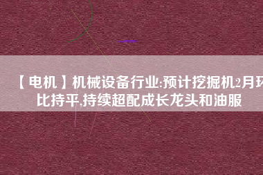 【電機(jī)】機(jī)械設(shè)備行業(yè):預(yù)計(jì)挖掘機(jī)2月環(huán)比持平,持續(xù)超配成長龍頭和油服 - TECO東元電機(jī) | 變頻器·伺服電機(jī)·減速機(jī)·電機(jī)解決方案