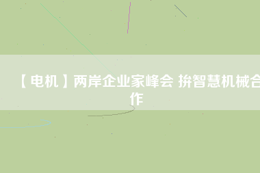 【電機(jī)】兩岸企業(yè)家峰會 拚智慧機(jī)械合作 - TECO東元電機(jī) | 變頻器·伺服電機(jī)·減速機(jī)·電機(jī)解決方案