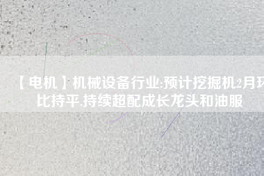 【電機(jī)】機(jī)械設(shè)備行業(yè):預(yù)計(jì)挖掘機(jī)2月環(huán)比持平,持續(xù)超配成長龍頭和油服 - TECO東元電機(jī) | 變頻器·伺服電機(jī)·減速機(jī)·電機(jī)解決方案