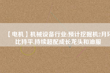 【電機(jī)】機(jī)械設(shè)備行業(yè):預(yù)計(jì)挖掘機(jī)2月環(huán)比持平,持續(xù)超配成長龍頭和油服 - TECO東元電機(jī) | 變頻器·伺服電機(jī)·減速機(jī)·電機(jī)解決方案