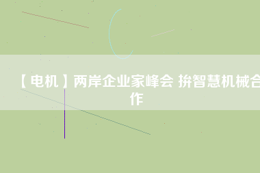 【電機(jī)】兩岸企業(yè)家峰會 拚智慧機(jī)械合作 - TECO東元電機(jī) | 變頻器·伺服電機(jī)·減速機(jī)·電機(jī)解決方案