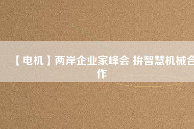【電機(jī)】兩岸企業(yè)家峰會 拚智慧機(jī)械合作 - TECO東元電機(jī) | 變頻器·伺服電機(jī)·減速機(jī)·電機(jī)解決方案