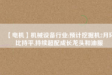【電機(jī)】機(jī)械設(shè)備行業(yè):預(yù)計(jì)挖掘機(jī)2月環(huán)比持平,持續(xù)超配成長龍頭和油服 - TECO東元電機(jī) | 變頻器·伺服電機(jī)·減速機(jī)·電機(jī)解決方案