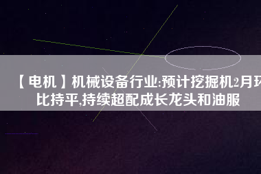 【電機(jī)】機(jī)械設(shè)備行業(yè):預(yù)計(jì)挖掘機(jī)2月環(huán)比持平,持續(xù)超配成長龍頭和油服 - TECO東元電機(jī) | 變頻器·伺服電機(jī)·減速機(jī)·電機(jī)解決方案