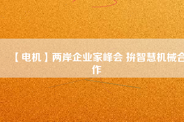 【電機(jī)】兩岸企業(yè)家峰會 拚智慧機(jī)械合作 - TECO東元電機(jī) | 變頻器·伺服電機(jī)·減速機(jī)·電機(jī)解決方案