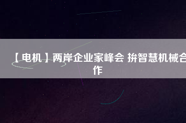 【電機(jī)】兩岸企業(yè)家峰會 拚智慧機(jī)械合作 - TECO東元電機(jī) | 變頻器·伺服電機(jī)·減速機(jī)·電機(jī)解決方案