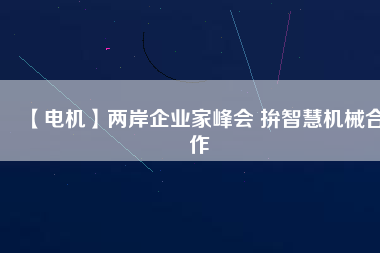 【電機(jī)】兩岸企業(yè)家峰會 拚智慧機(jī)械合作 - TECO東元電機(jī) | 變頻器·伺服電機(jī)·減速機(jī)·電機(jī)解決方案