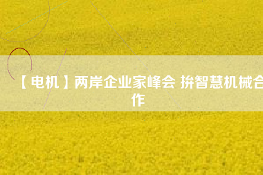 【電機(jī)】兩岸企業(yè)家峰會 拚智慧機(jī)械合作 - TECO東元電機(jī) | 變頻器·伺服電機(jī)·減速機(jī)·電機(jī)解決方案
