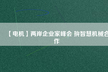 【電機(jī)】兩岸企業(yè)家峰會 拚智慧機(jī)械合作 - TECO東元電機(jī) | 變頻器·伺服電機(jī)·減速機(jī)·電機(jī)解決方案