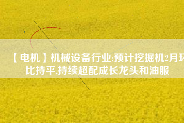 【電機(jī)】機(jī)械設(shè)備行業(yè):預(yù)計(jì)挖掘機(jī)2月環(huán)比持平,持續(xù)超配成長龍頭和油服 - TECO東元電機(jī) | 變頻器·伺服電機(jī)·減速機(jī)·電機(jī)解決方案
