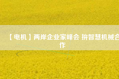 【電機(jī)】兩岸企業(yè)家峰會 拚智慧機(jī)械合作 - TECO東元電機(jī) | 變頻器·伺服電機(jī)·減速機(jī)·電機(jī)解決方案