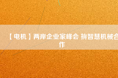 【電機(jī)】兩岸企業(yè)家峰會 拚智慧機(jī)械合作 - TECO東元電機(jī) | 變頻器·伺服電機(jī)·減速機(jī)·電機(jī)解決方案