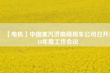 【電機(jī)】中國(guó)重汽濟(jì)南商用車公司召開2018年度工作會(huì)議 - TECO東元電機(jī) | 變頻器·伺服電機(jī)·減速機(jī)·電機(jī)解決方案