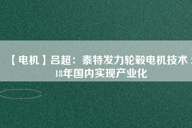 【電機(jī)】呂超:泰特發(fā)力輪轂電機(jī)技術(shù) 2018年國(guó)內(nèi)實(shí)現(xiàn)產(chǎn)業(yè)化 - TECO東元電機(jī) | 變頻器·伺服電機(jī)·減速機(jī)·電機(jī)解決方案