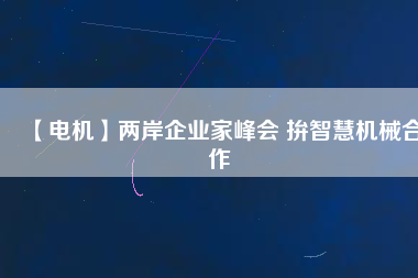【電機(jī)】兩岸企業(yè)家峰會 拚智慧機(jī)械合作 - TECO東元電機(jī) | 變頻器·伺服電機(jī)·減速機(jī)·電機(jī)解決方案