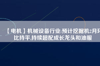 【電機(jī)】機(jī)械設(shè)備行業(yè):預(yù)計(jì)挖掘機(jī)2月環(huán)比持平,持續(xù)超配成長龍頭和油服 - TECO東元電機(jī) | 變頻器·伺服電機(jī)·減速機(jī)·電機(jī)解決方案